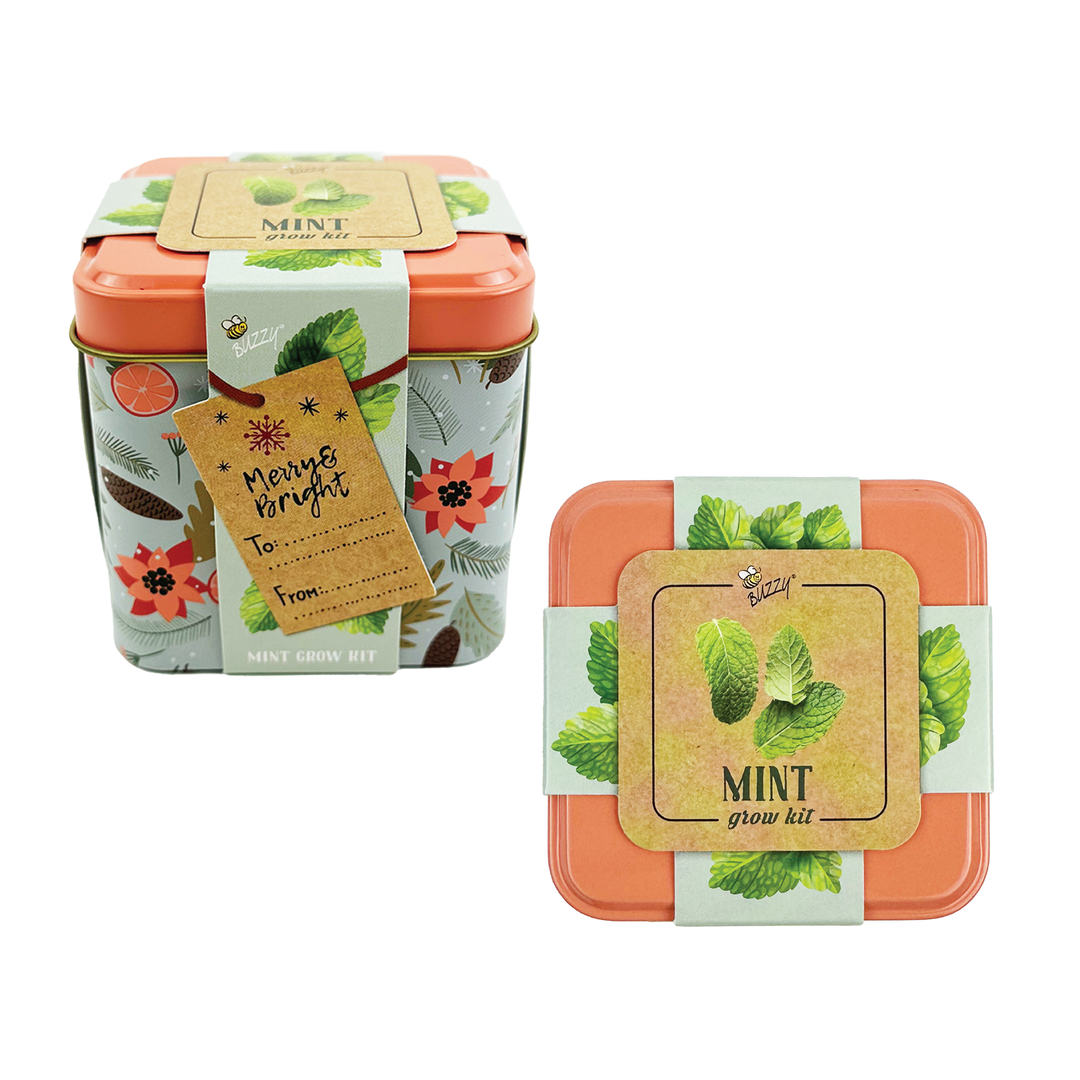 Holiday Mint Grow Kit | 2 Decorative Tins