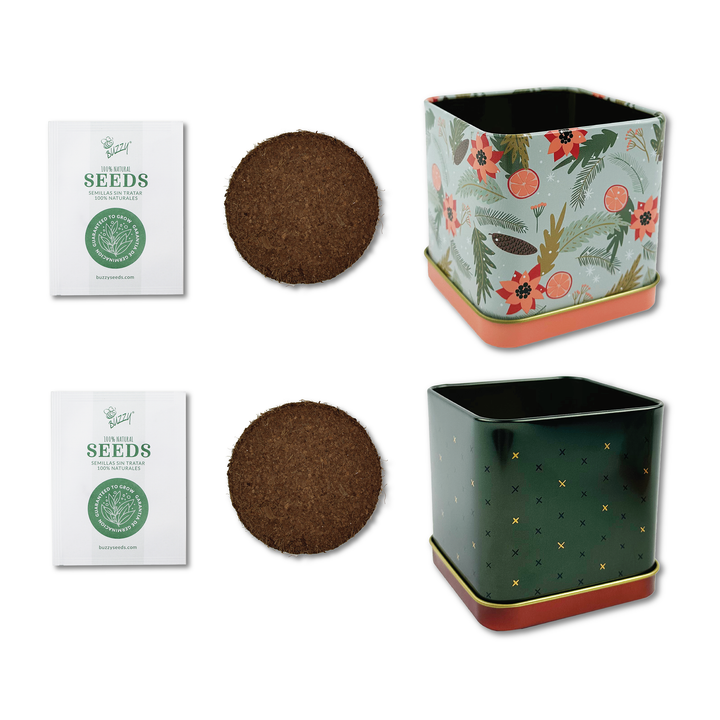 Festive Spruce & Mint Grow Kit | 2 Decorative Tins