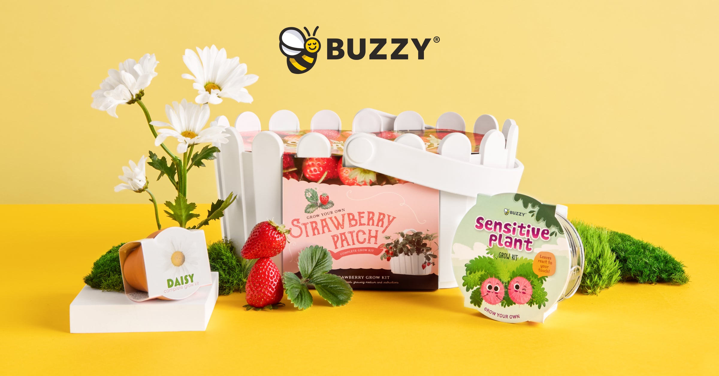 Buzzy Seeds: All-in-one Grow Kits For Every Occasion