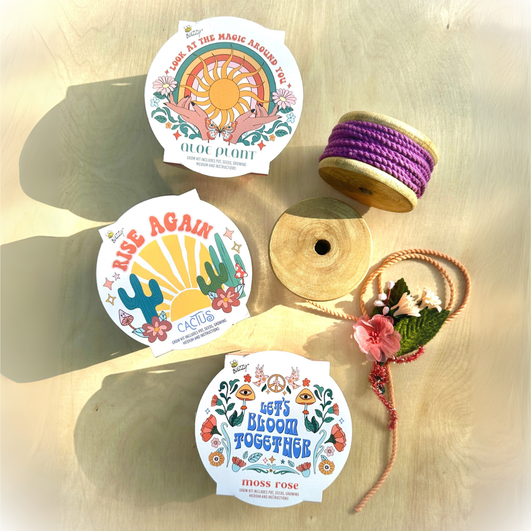 Desert Trio Mini Basin Grow Kit | Cactus, Aloe, and Moss Rose | 3-pack