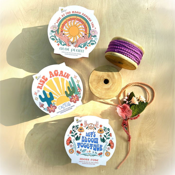 Desert Trio Mini Basin Grow Kit | Cactus, Aloe, and Moss Rose | 3-pack