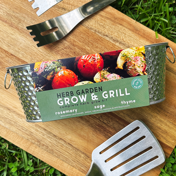 Organic Grilling Herbs Windowsill Grow Kit | Rosemary, Sage, & Thyme