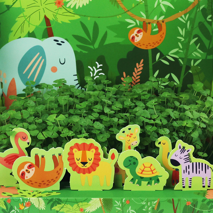 Fairy Forest & Wild Jungle of Chia Pop-Up Garden Grow Kits | 2-pack