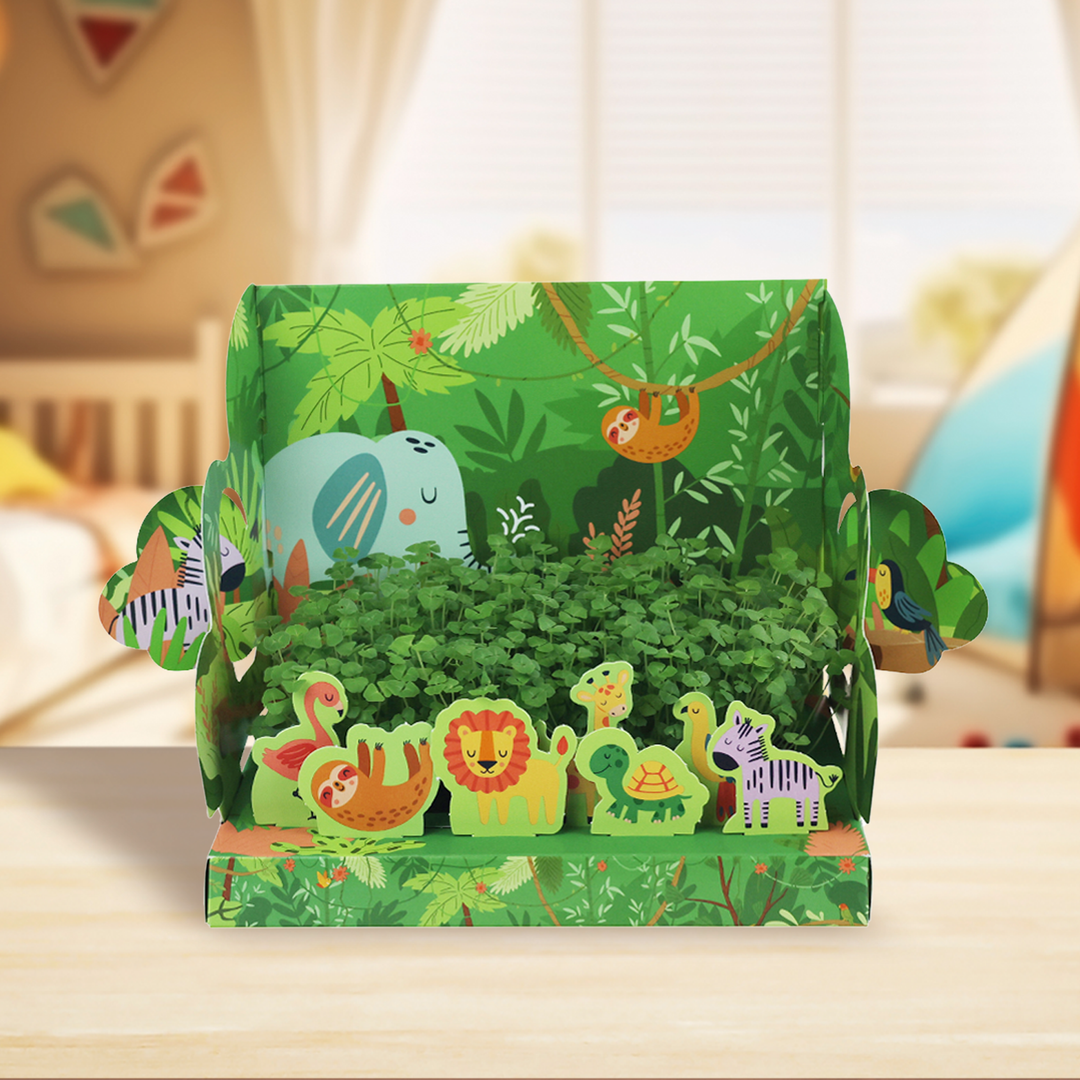 Fairy Forest & Wild Jungle of Chia Pop-Up Garden Grow Kits | 2-pack