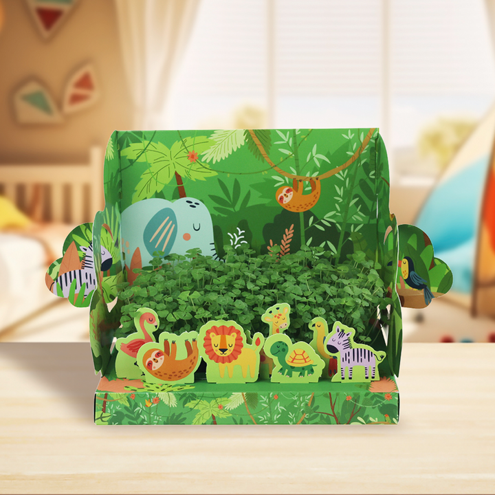 Fairy Forest & Wild Jungle of Chia Pop-Up Garden Grow Kits | 2-pack