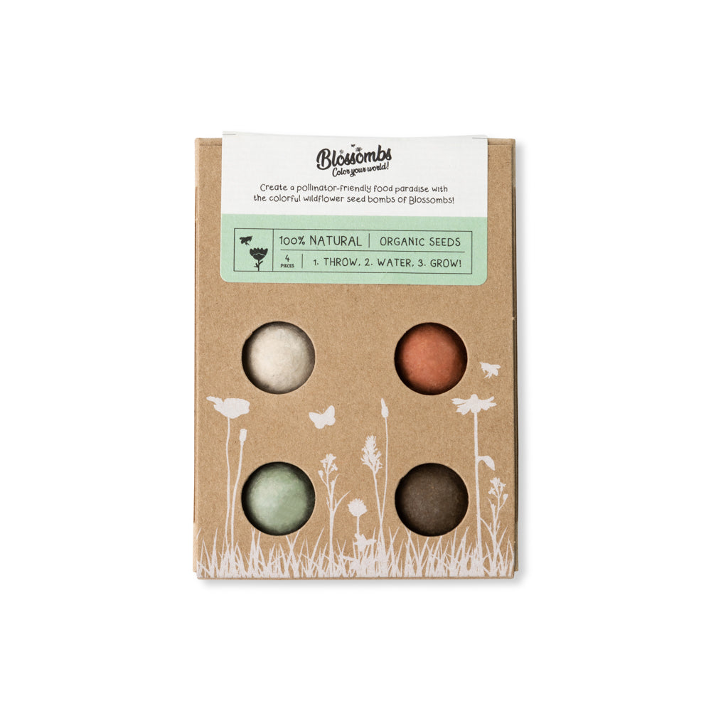 Merry Christmas & Happy New Year Wildflower Seed Balls Mini Gift Box for Garden Lovers