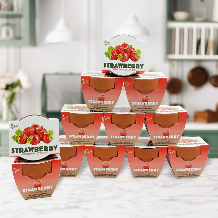 Classic Mini Terracotta Grow Pots | Strawberry 12-pack