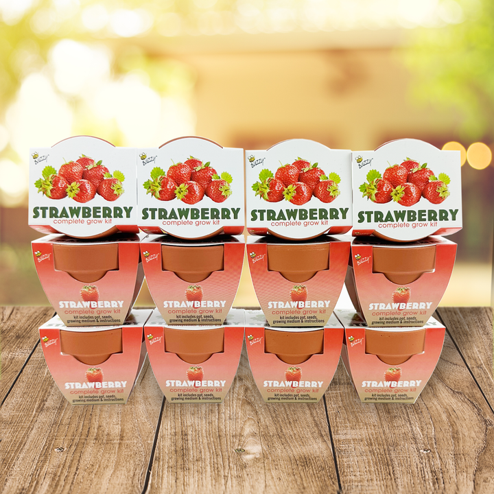 Classic Mini Terracotta Grow Pots | Strawberry 12-pack
