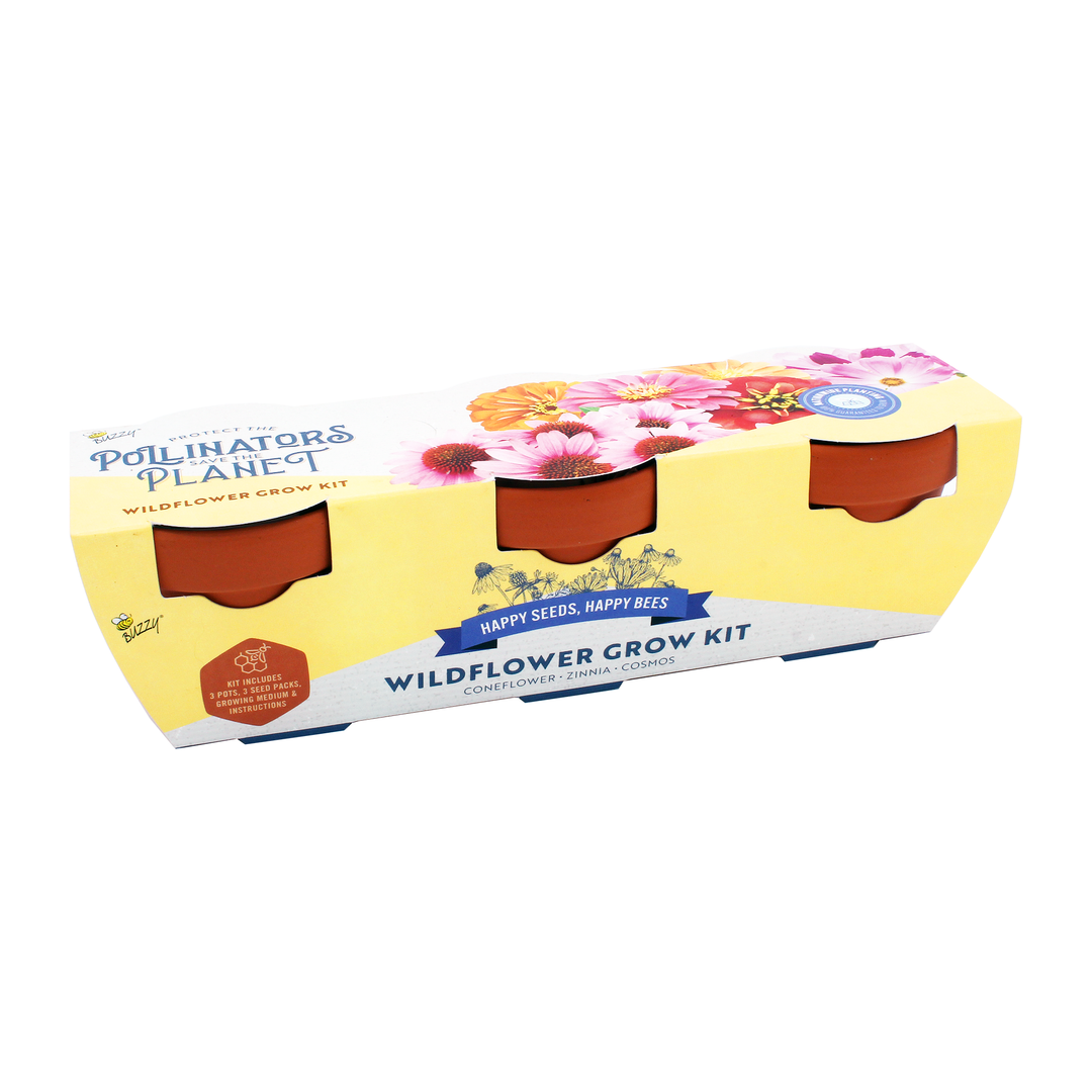 Save The Bees Terracotta Trio Pollinator Grow Kit 3-Pack | Coneflower, Zinnia, Cosmos