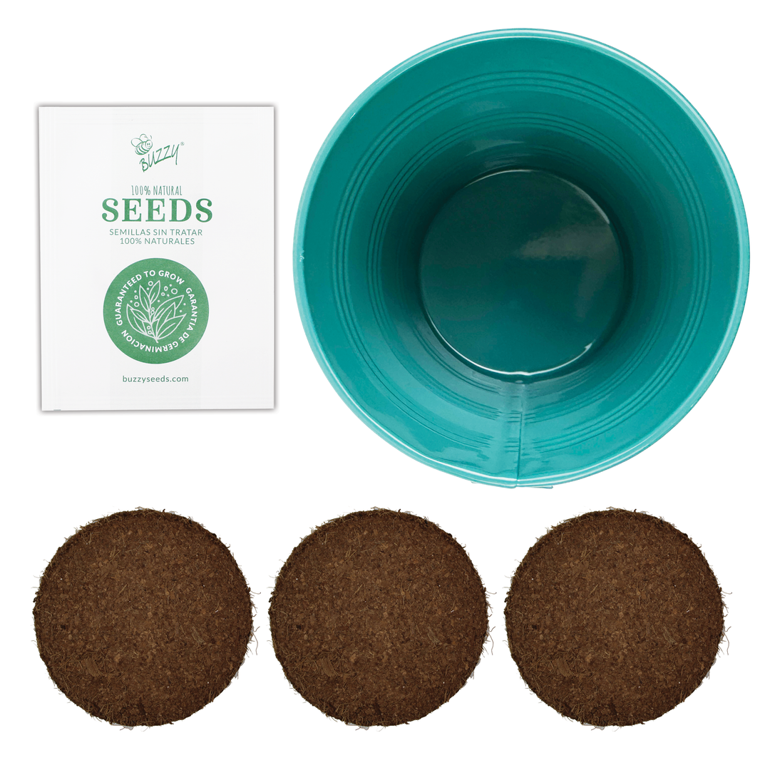 Rosemary Houseplant Grow Pail Kit