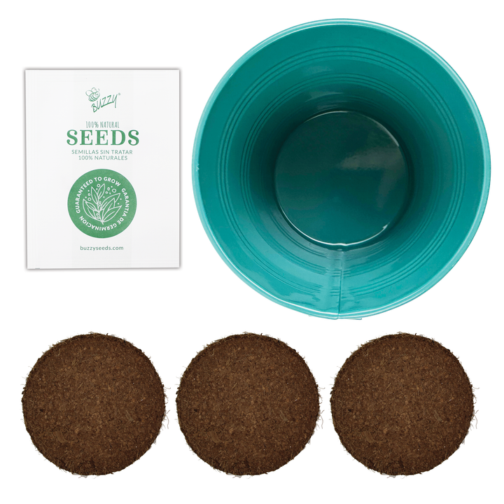 Rosemary Houseplant Grow Pail Kit