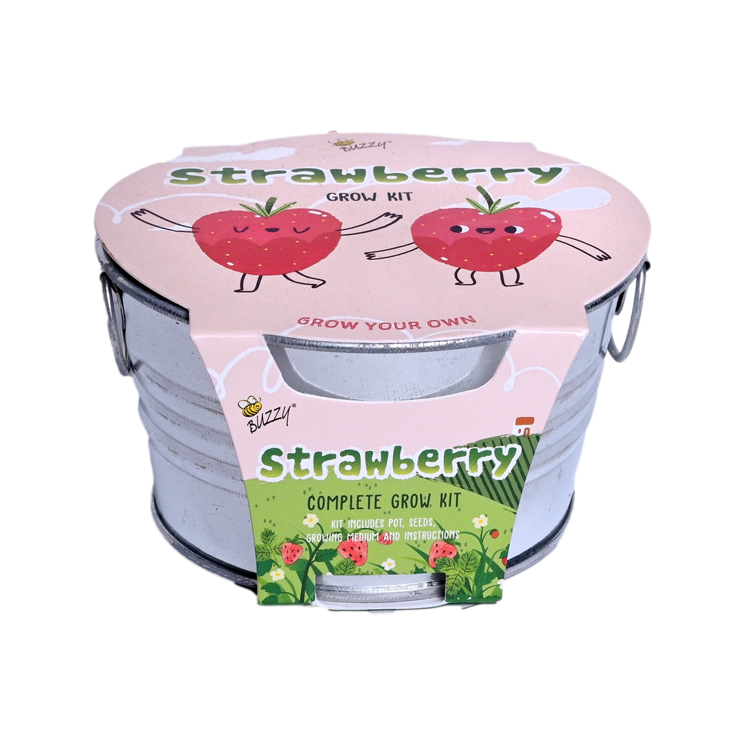 Kids Strawberry Mini Basin Grow Kit | Alpine Strawberry