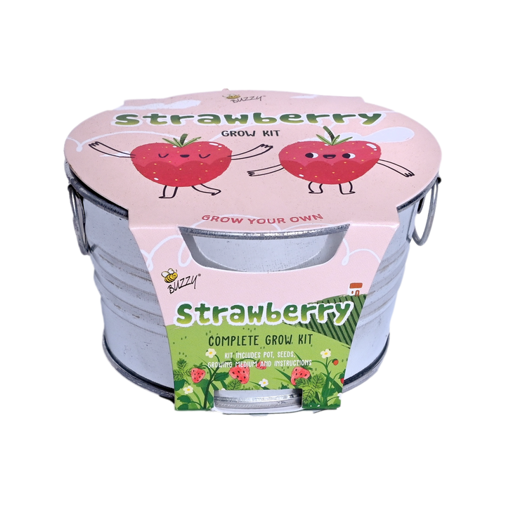 Kids Strawberry Mini Basin Grow Kit | Alpine Strawberry