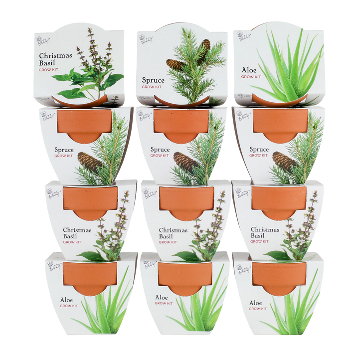 Radiant Mini Terracotta Grow Kit | Assorted 12-Pack Holiday Party Favor