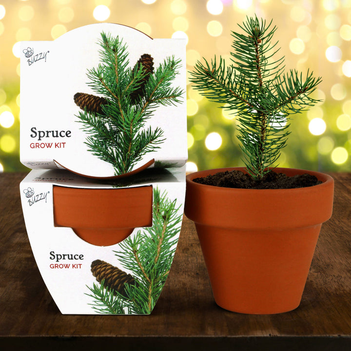 Radiant Mini Terracotta Grow Kit | Assorted 12-Pack Holiday Party Favor