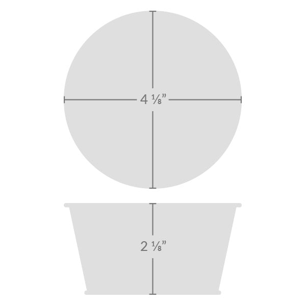 Desert Trio Mini Basin Grow Kit | Cactus, Aloe, and Moss Rose | 3-pack