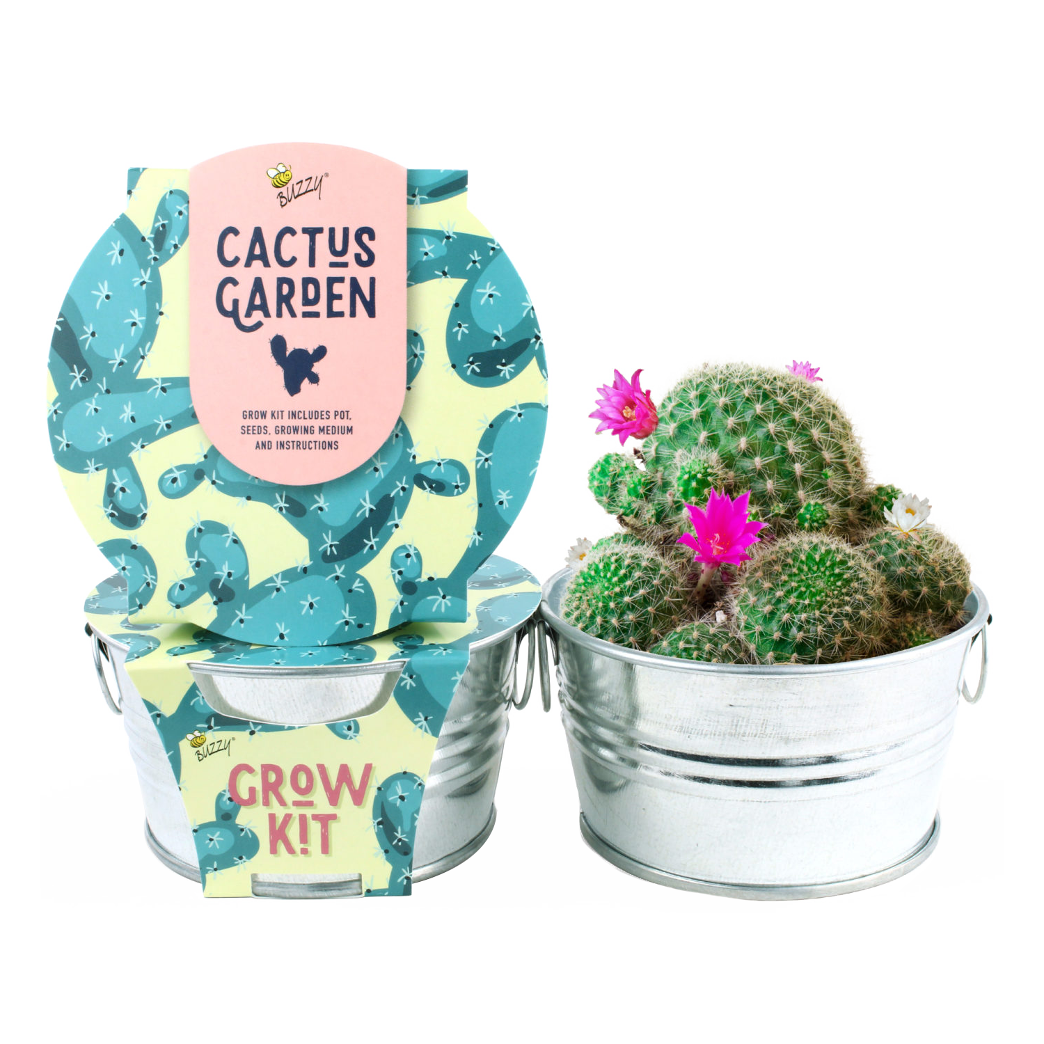  HOME GROWN Succulent & Cactus Seed Kit for Planting
