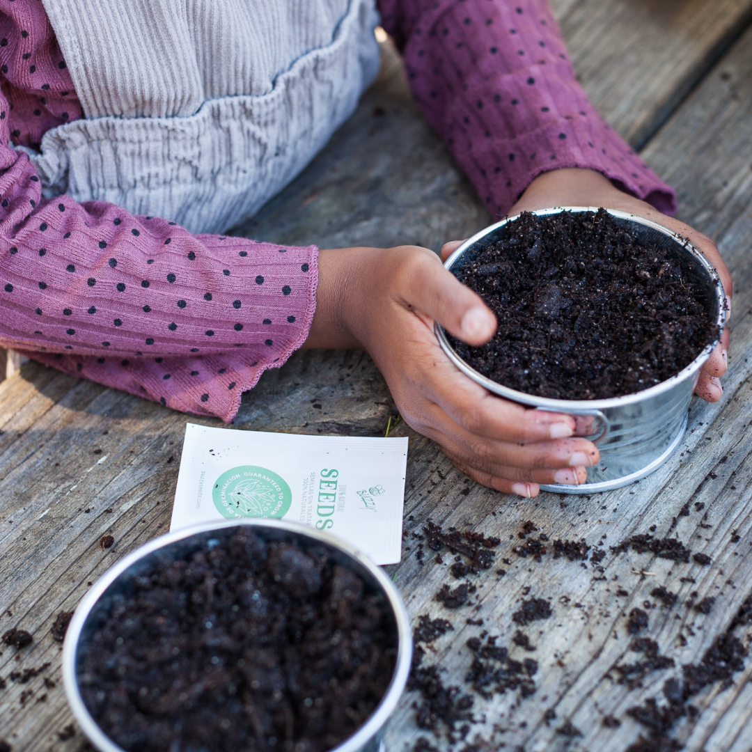 What Is The Growing Medium Made Of?