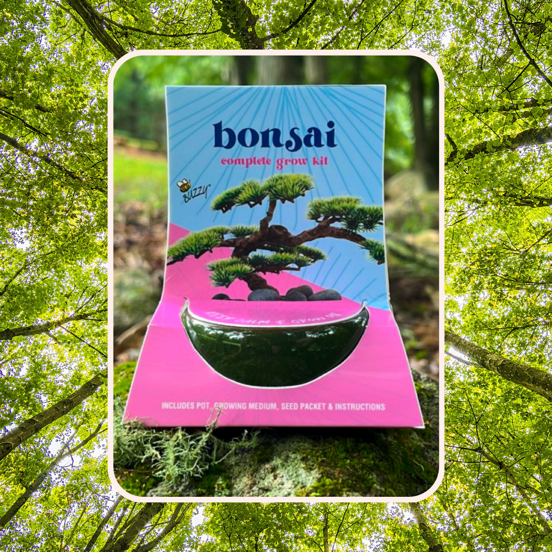 How To Grow Bonsai From Seed