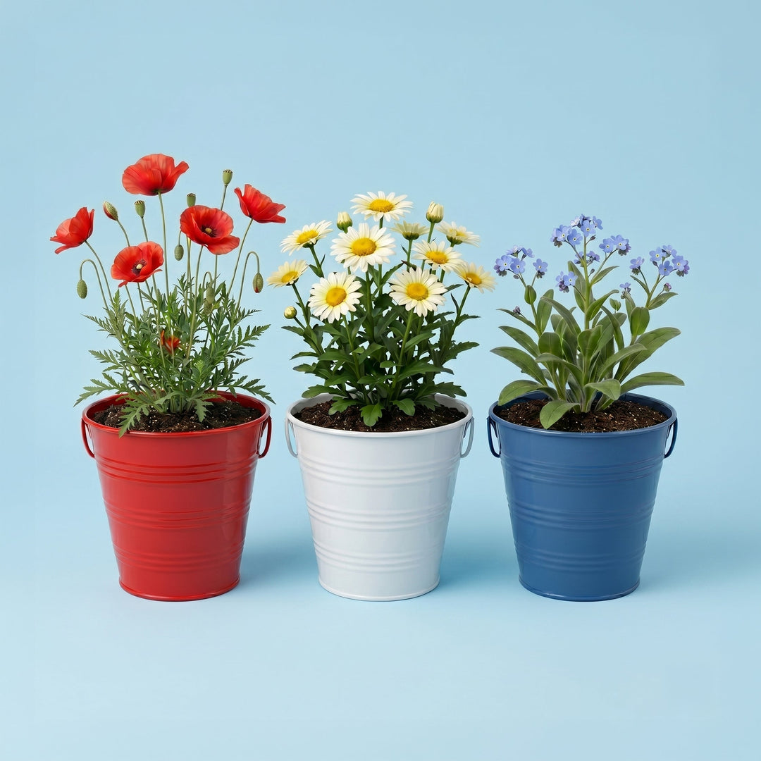 Red, White & Bloom: 4th of July Patriotic Flower Garden Ideas