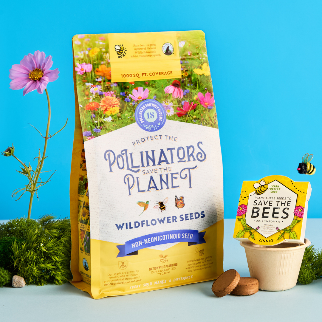 How to Turn Any Space into a Pollinator Garden (And Why June Is A Good Month to Start)