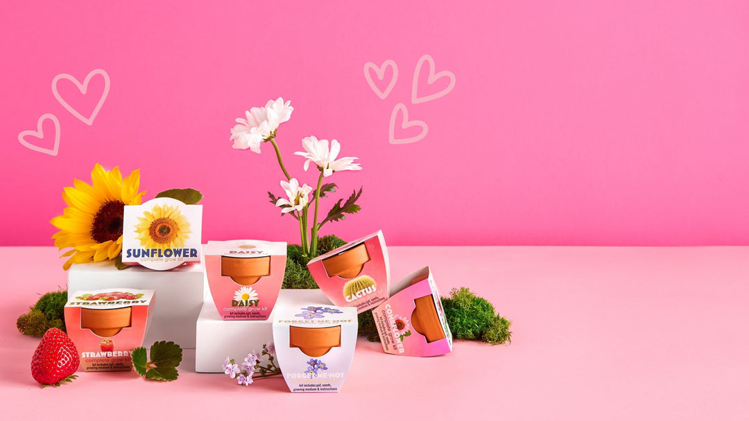 Mother's Day Gifts That Don't Wilt: 6 Grow Kits She'll Actually Love