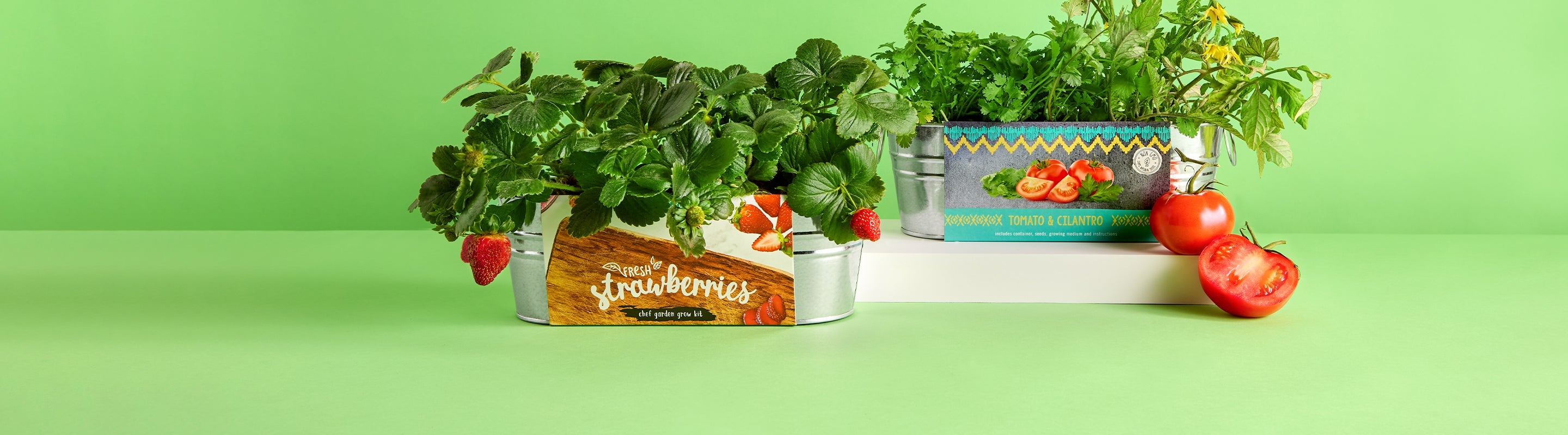 Grow Kit to Table