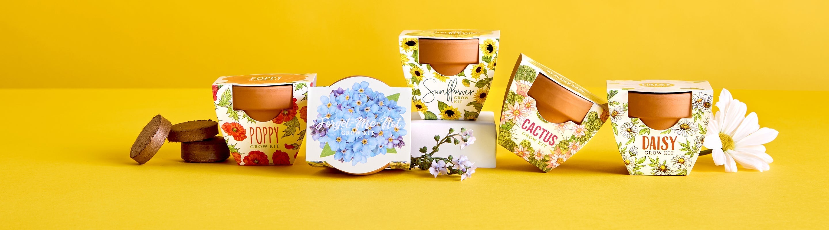 Gift Shop – Buzzy Seeds
