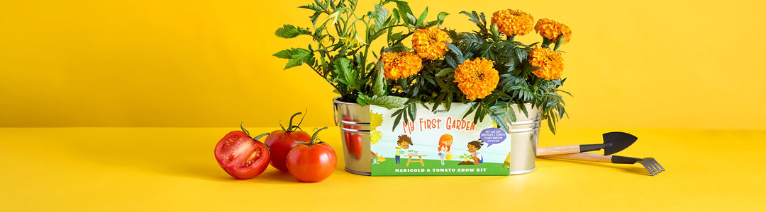 Teacher Gifts & Class Kits