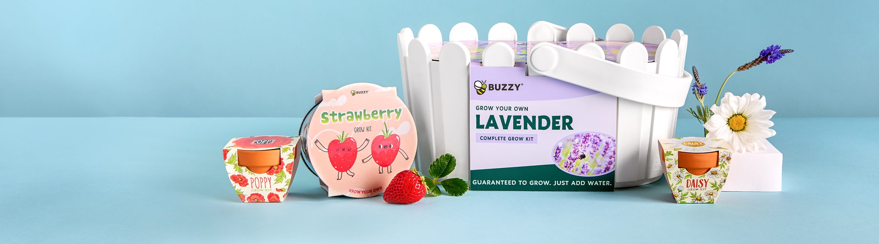Stocking Stuffers – Buzzy Seeds