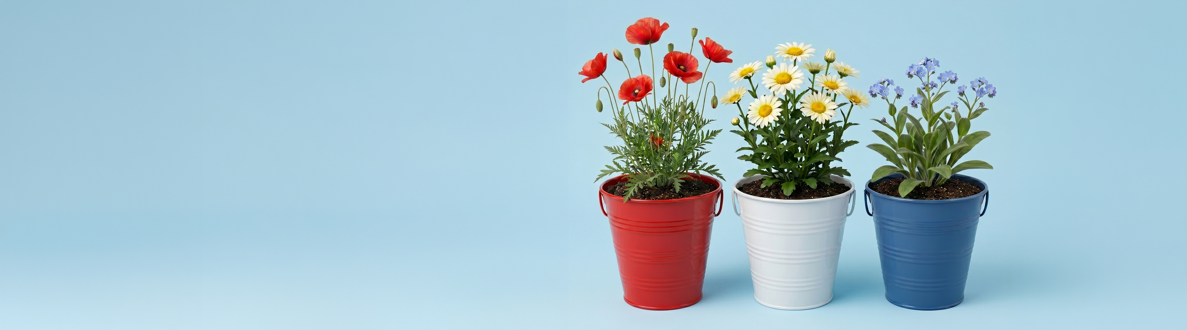 Memorial Day Flash Sale
