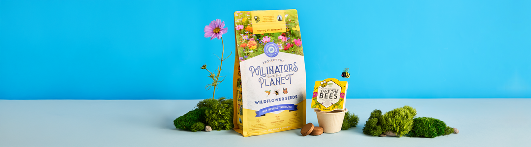 Flowers & Pollinators