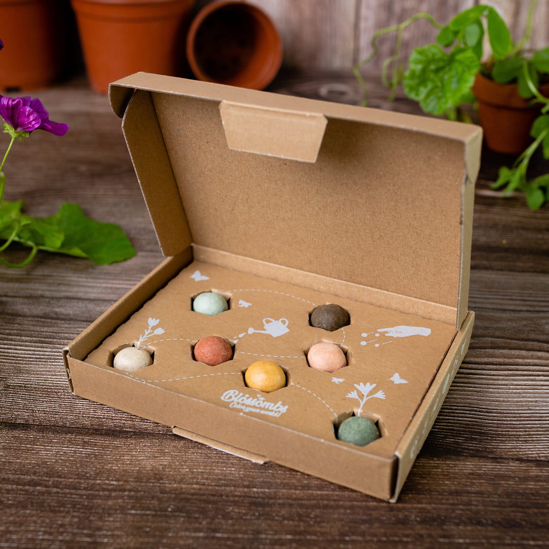 Wildflower Seed Ball Gift Box | Teacher Appreciation (7 Seed Balls)
