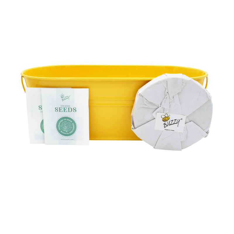 Taco Night Windowsill Grow Kit | Tomato & Cilantro | Yellow