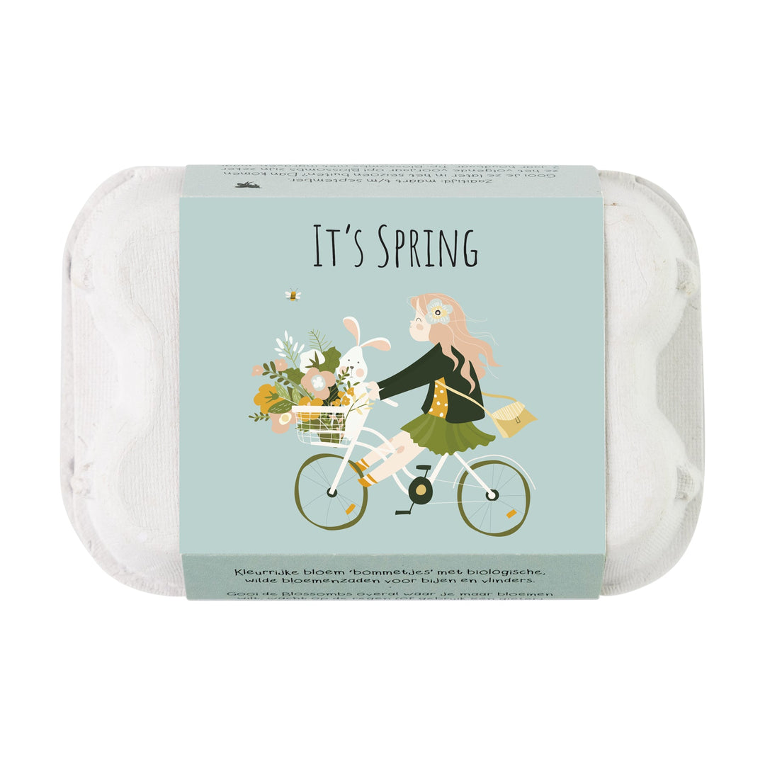 🎁 It's Spring Wildflower Seed Balls in Mini Egg Carton (100% off)