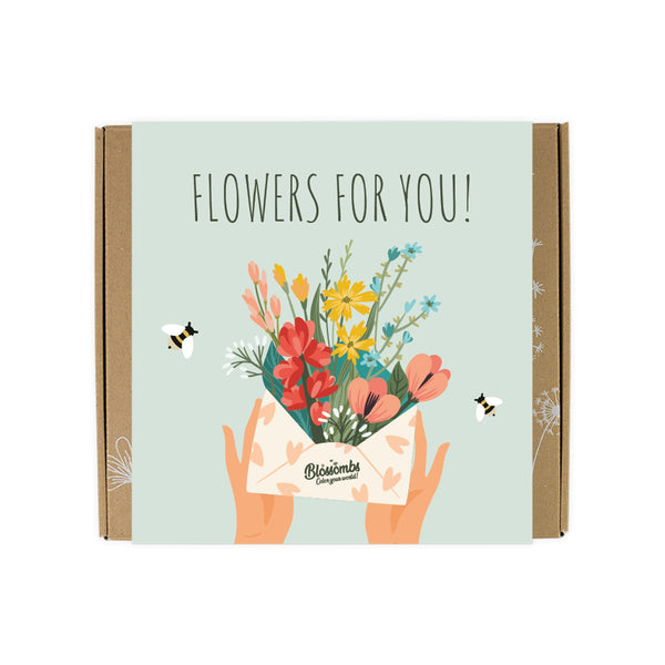 🎁 Wildflower Seed Ball Gift Box | 'Flowers For You' (9 Seed Balls) (100% off)