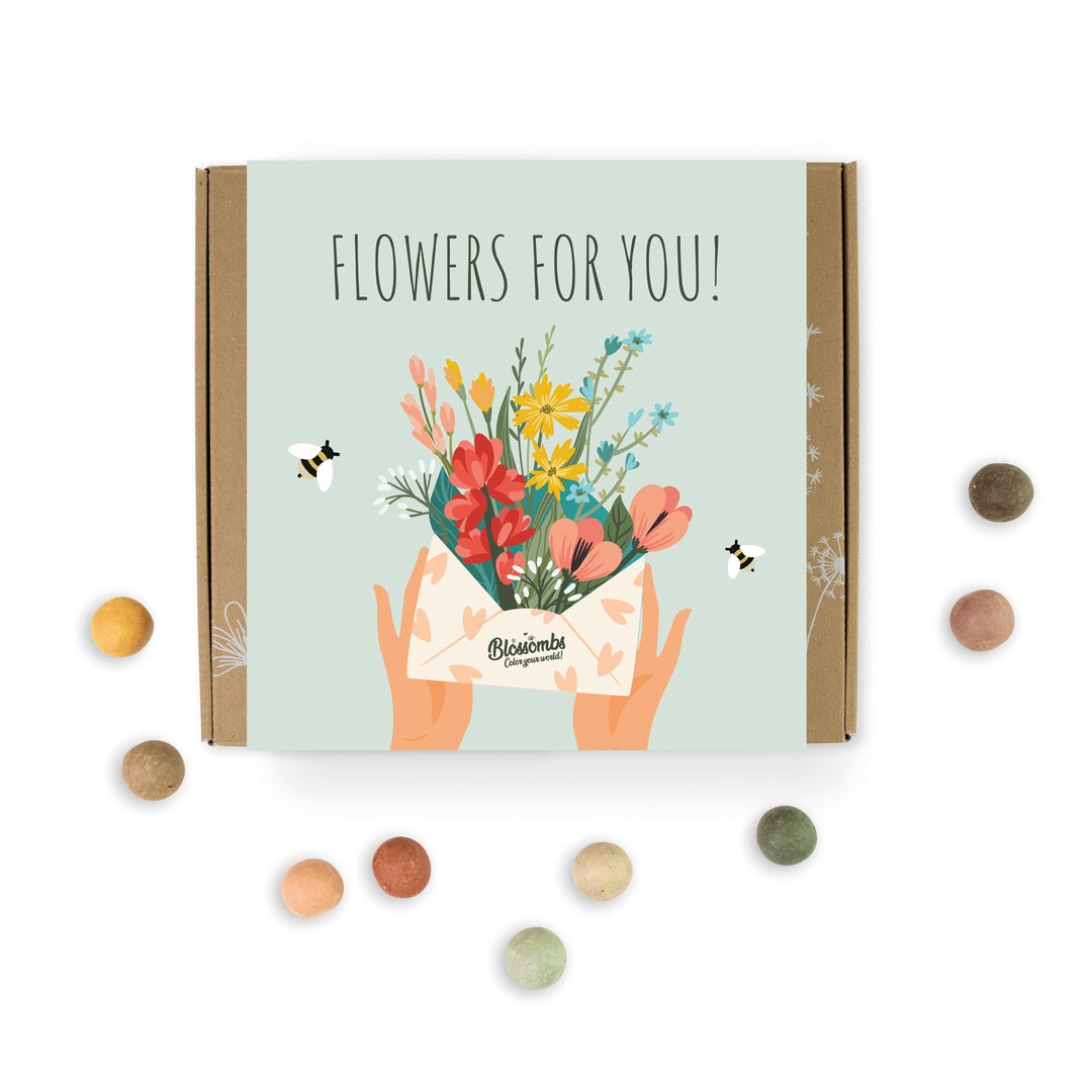 Wildflower Seed Ball Gift Box | 'Flowers For You' (9 Seed Balls)