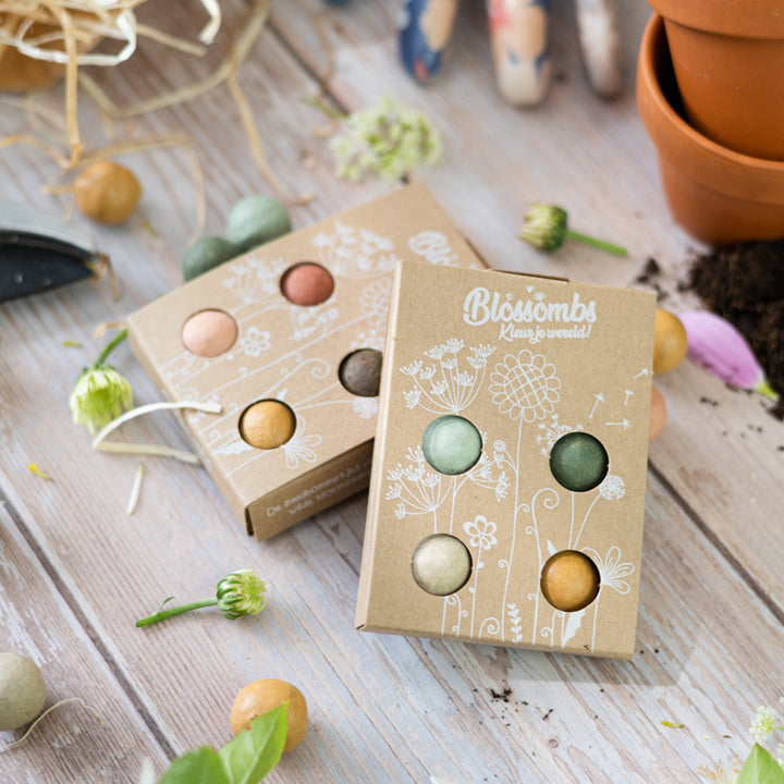 Wildflower Seed Ball Mini Gift box | I Love You (4 Seed Balls)