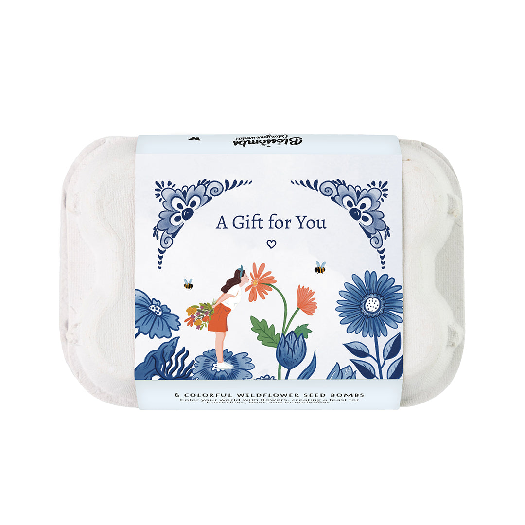 Wildflower Seed Ball Gift Box | 'A Gift For You' Mini Egg Carton (6 Seed Balls)