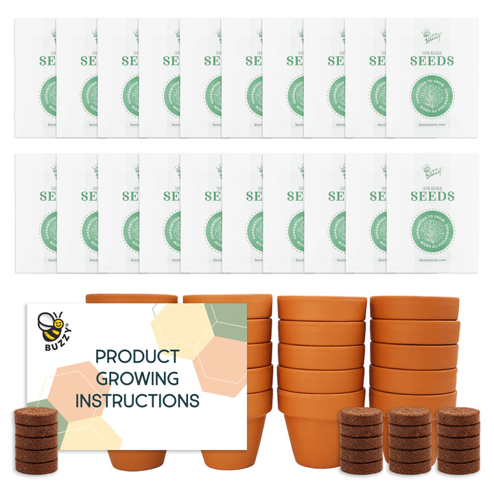 Daisy Grow Kit Bulk 20 Pack | Mini Terracotta Pots & Seeds