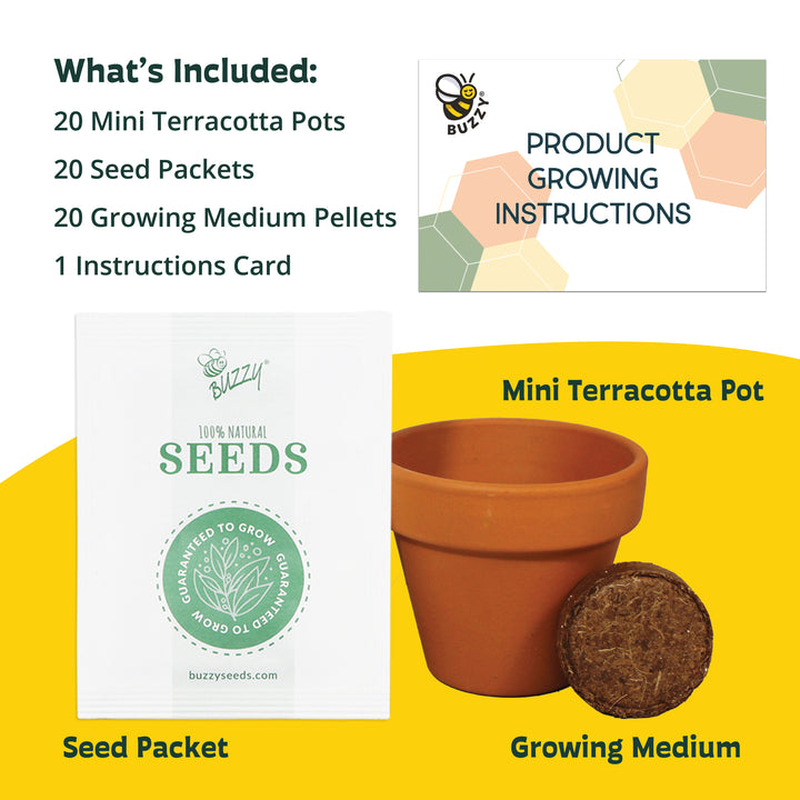 Daisy Grow Kit Bulk 20 Pack | Mini Terracotta Pots & Seeds