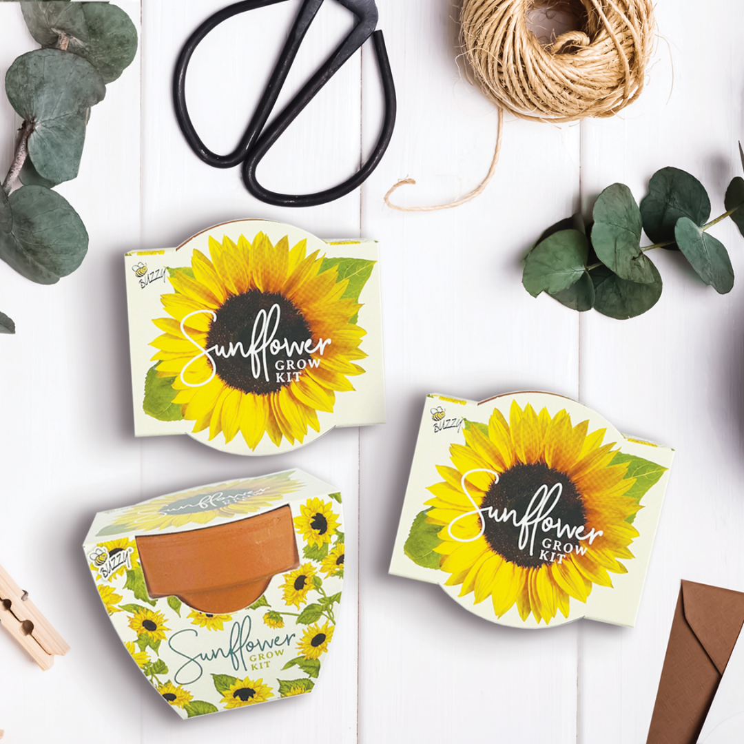 Daydream Mini Terracotta Grow Pots | Sunflower 12-pack