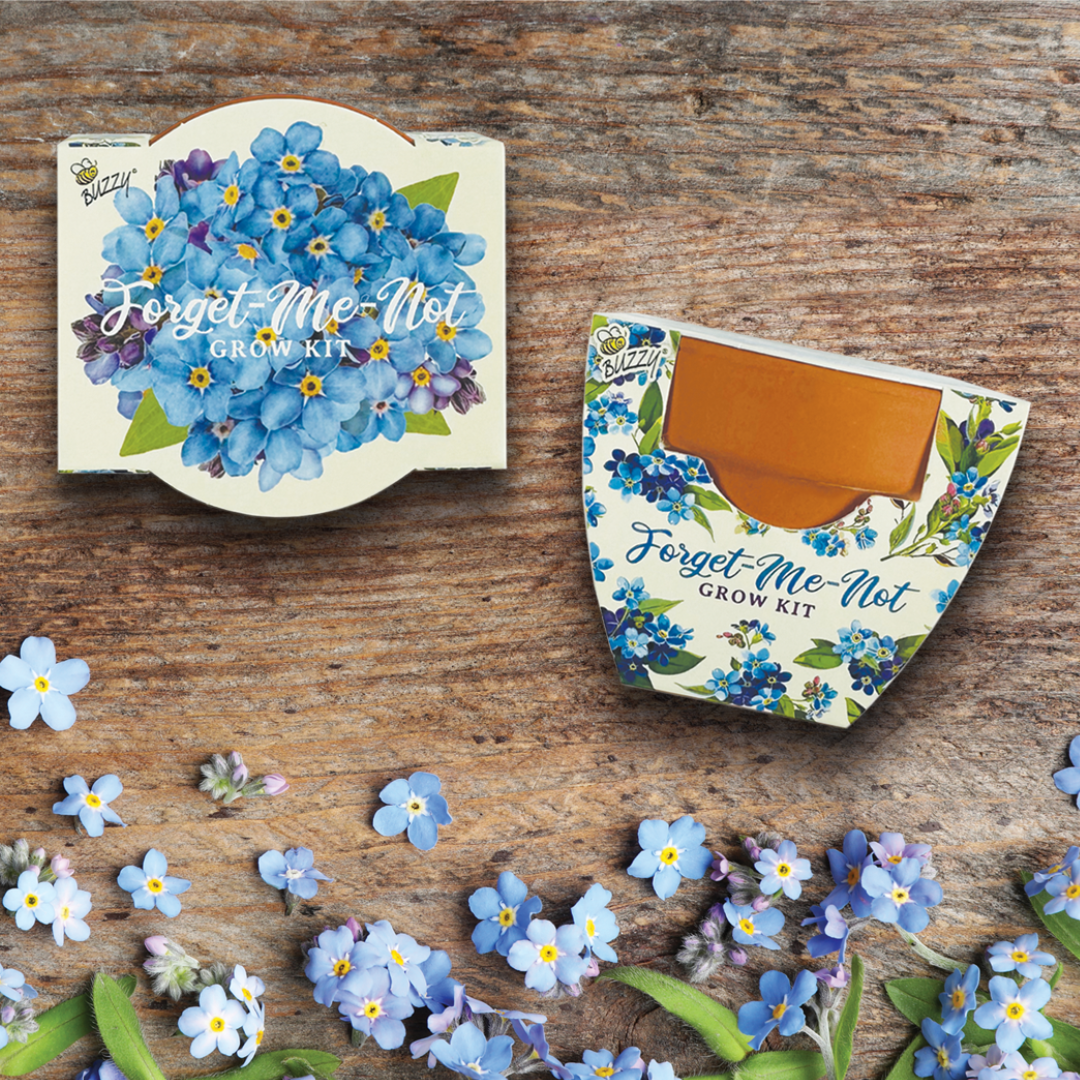 forget me not plant pot Forget-Me-Not Grow Kits for Memorial Favors – Buzzy Seeds