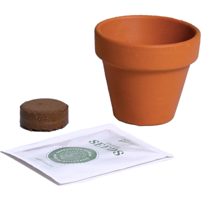 Classic Mini Terracotta Grow Kit | Assorted 12-pack