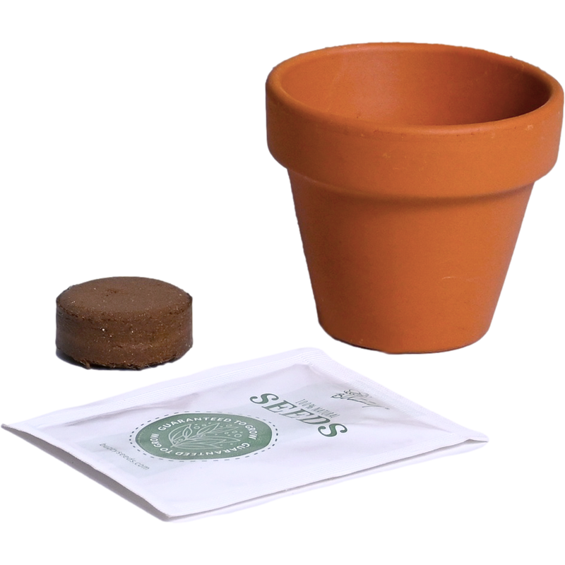 Classic Mini Terracotta Grow Kit | Assorted 12-pack
