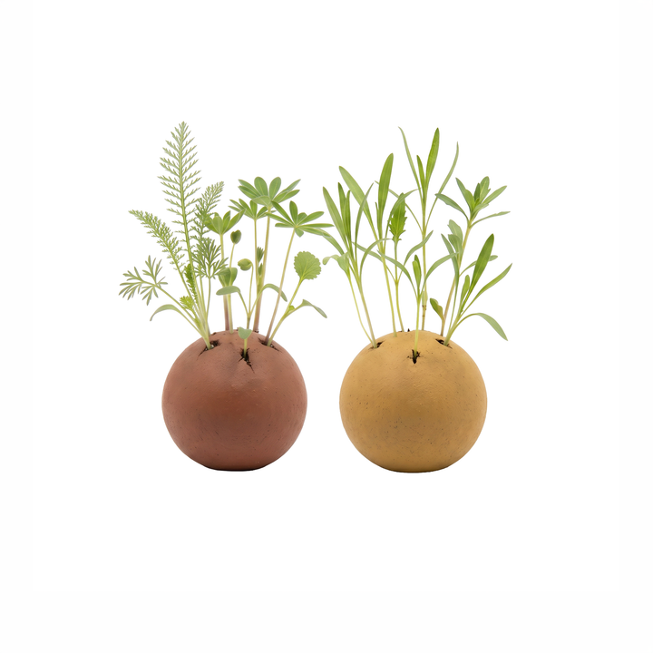 'Grow Green' Wildflower Seed Balls | Pollinator Flower Mix (2 Count)