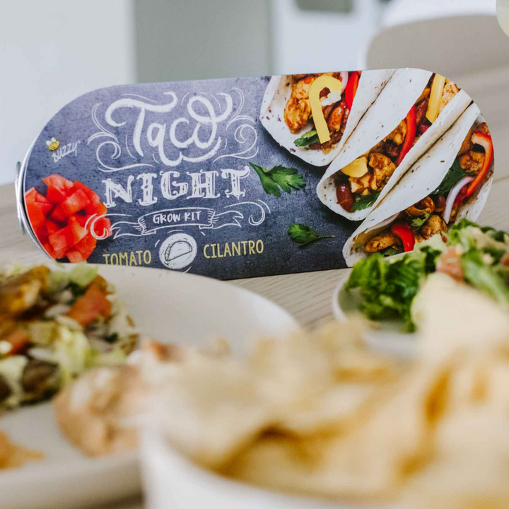 Taco Night Windowsill Grow Kit | Tomato & Cilantro