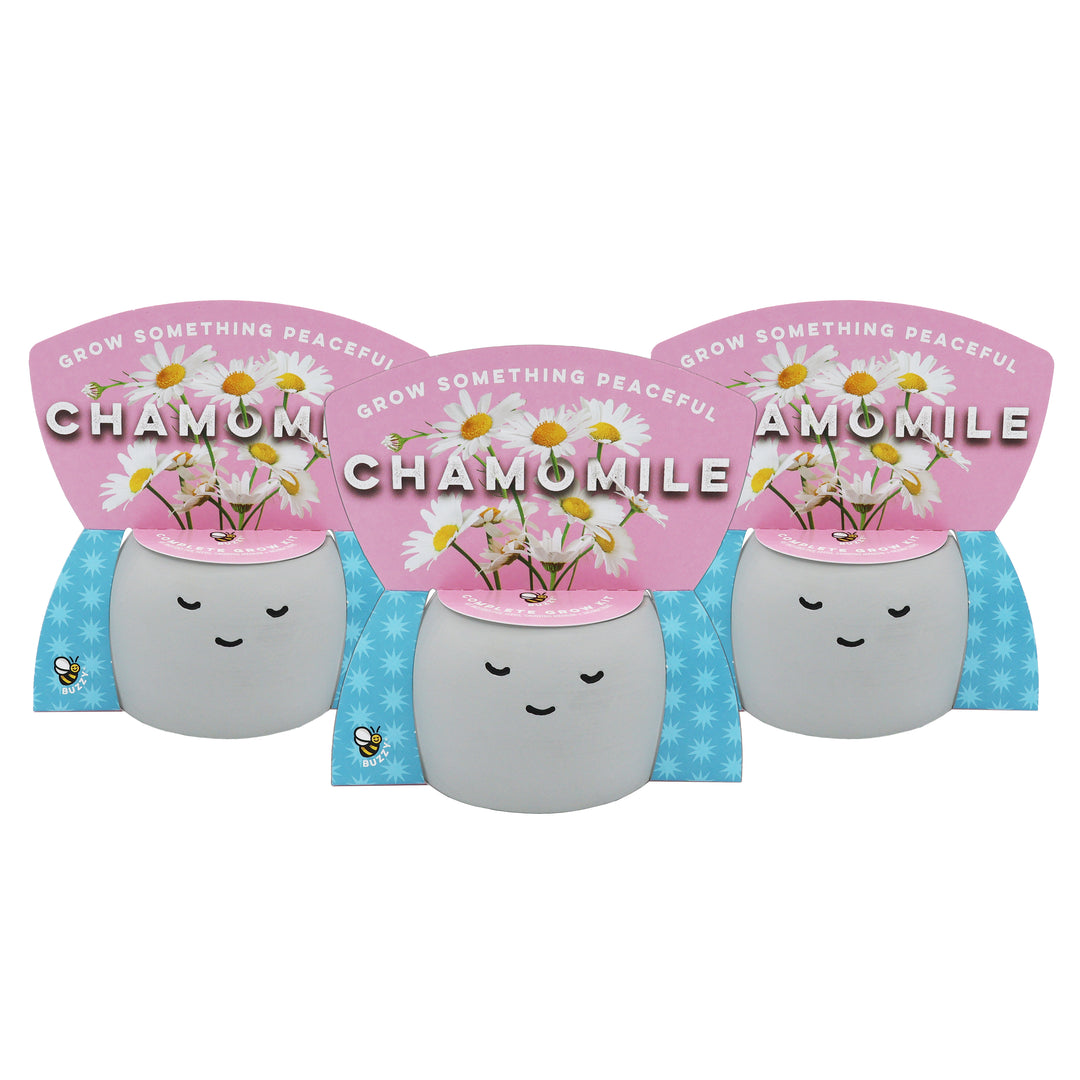 Peaceful Pot Grow Kit | Chamomile (3 Pack)