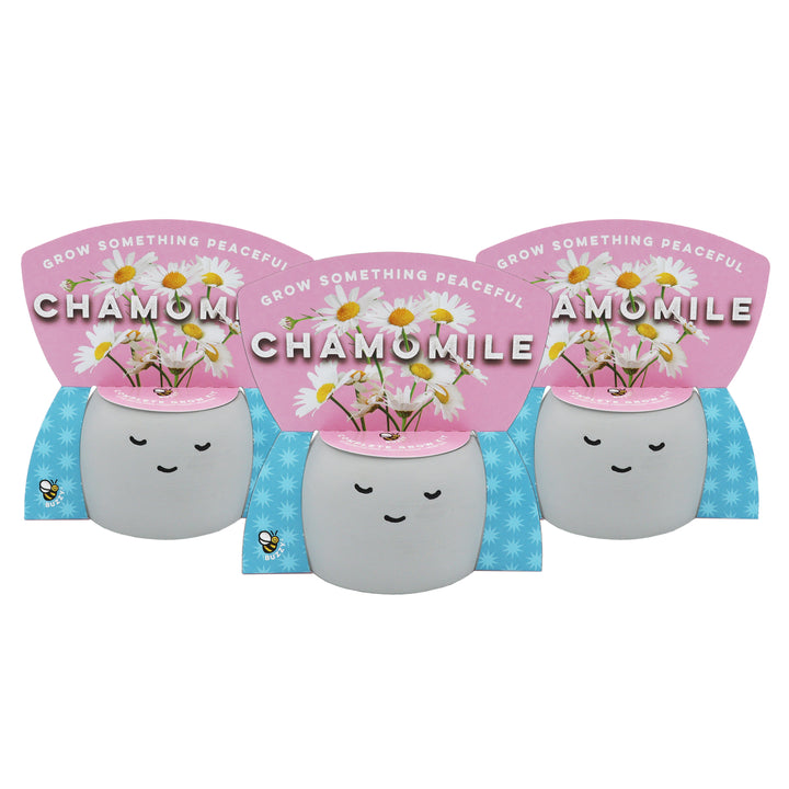Peaceful Pot Grow Kit | Chamomile (3 Pack)