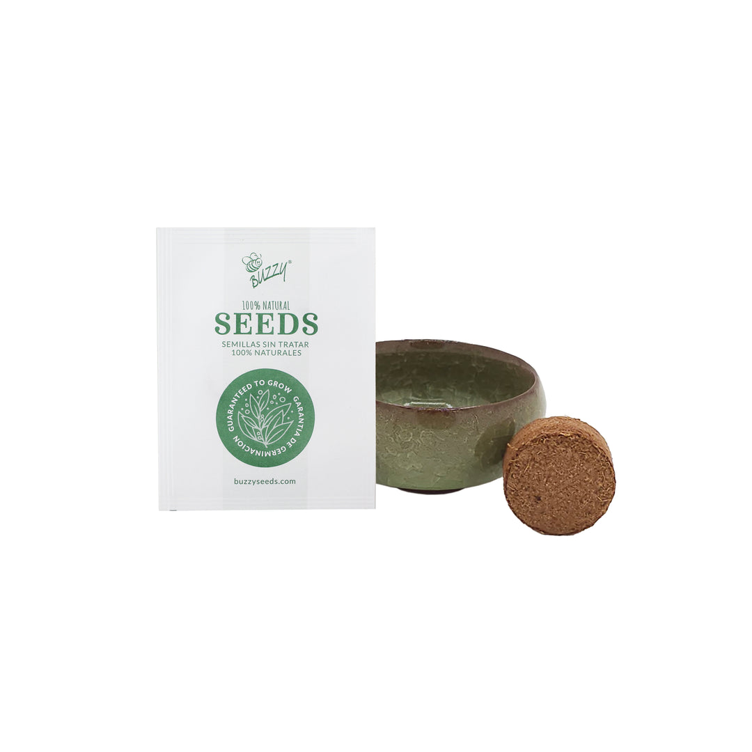 buzzy seeds bonsai tree Bonsai Tree Grow Kit